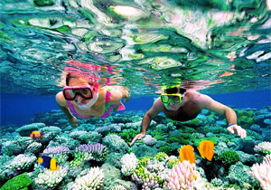 Riviera Maya con snorkel en cenotes