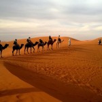 Caravana de camellos